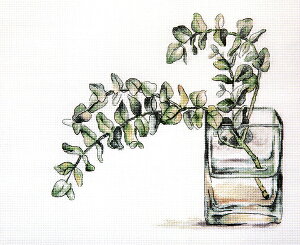 VÃNXXeb`Lbg@[J (PANNA C-7281)