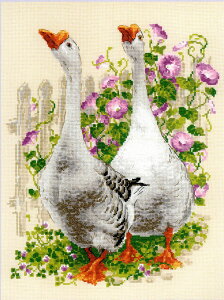 VÃNXXeb`Lbg O[X 傤 (RIOLISEIXE1807)