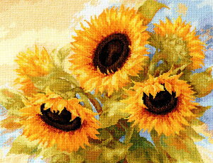 VÃNXXeb`Lbg q} -z̖- (Alisa @LIR@ AT 2-30)