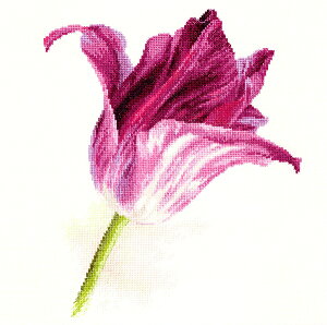 VÃNXXeb`Lbg CbNF̃`[bv (Alisa @LIR@ AT 2-44)