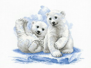 VÃNXXeb`Lbg X̔ (RIOLISEIXE2043)