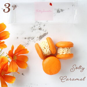 L 3 }J gDJ XC[c yY macaron ؍ XC[c v[g Mtg IW Ε