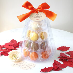 �������� �H �}�J�����^���[ �yAutumn Spicy Orange Macaron Tower�z�}�J���� 19���� �p���v�L�� �`���R �I�����W �L�������� �H�X�C�[�c ��y�Y macaron �؍� �X�C�[�c �f�U�[�g �h�V�̓� �v���[���g 