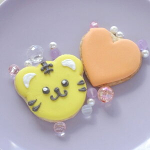 g n[g ACVONbL[  킢  Aj} a LO  ObY ؍  P[LfR[V Iׂ13F mxeB[ fr[LO