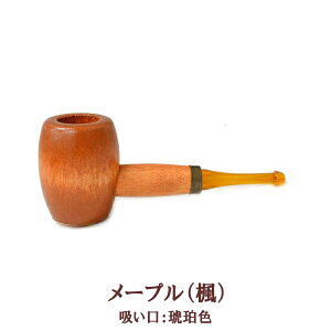 V[gX[NpCv [v`F[ S4 i pCv ѐ쏊 48901