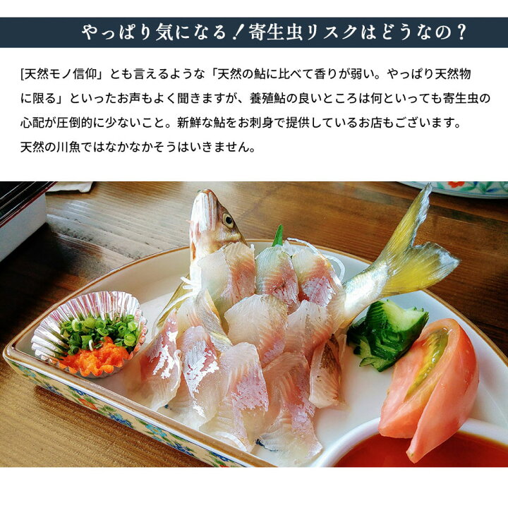 楽天市場 鮎 ピザ 小鮎のまるごとコンフィを使ったピザ 冷凍ピザ 冷凍 きつれがわの鮎 匠