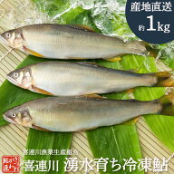 冷凍鮎 1kg 大サイズ 8～9尾入り 栃木県 喜連川 湧水育ち 鮎 小分け 魚 焼き魚 焼魚 川魚 バーベキュー …