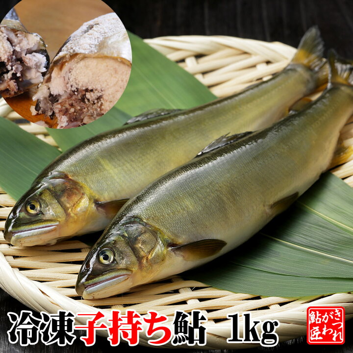 楽天市場 冷凍 子持ち鮎 1kg 便利な個包装 湧水育ち 栃木県 喜連川 鮎 養殖 通販 贈答品 ギフト 冷凍 きつれがわの鮎 匠