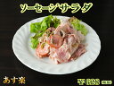 【あす楽】 ソーセージサラダ 総菜 ドイツ グルメ 惣菜 洋風 マリネ ピクルス オニオンスライス コールドソーセージ ソーセージ サラダ オードブル サンドウィッチ BBQ バーベキュー お取り寄せグルメ BBQ バーベキュー お中元 御中元