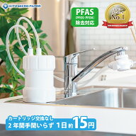 浄水器ゴクリア 2年交換 清潔＆コスパ 高性能 PFAS PFOS・PFOA除去 17+3物質除去 塩素除去 日本製 コンパ…