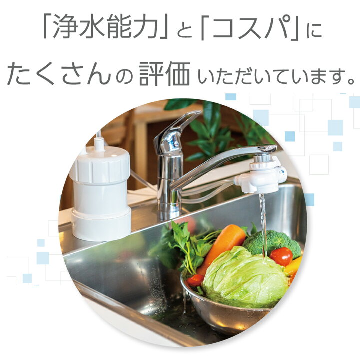 楽天市場】【お買い物マラソン／ポイント10倍】浄水器ゴクリア 2年交換 