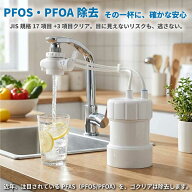 【浄水器協会加盟ブランド】浄水器ゴクリア 2年交換 清潔＆コスパ 高性能 PFAS PFOS・PFOA除去 17+3物質…