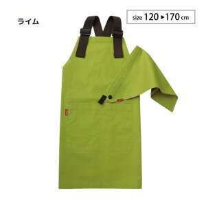 stample GvOp eq X^v AEghA Op Jo[I[ [NGv Op qp w wj  ObY w K H ƒ   ۈ牀 