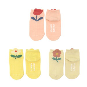 stample X^v |bst[AN \bNX 3g  t[  q ǂ LbY C ̎q \bNX C LbY  q ʉ ʊw   ₷ `