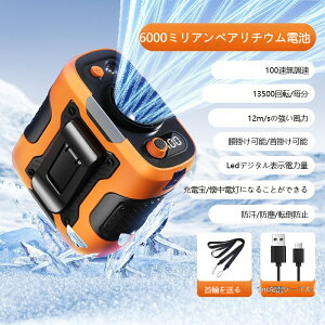 y10%|CgobNznfBt@ @ 񂩂   6000mAh 莝 gѐ@ 100iK É  RpNg oCobe[ e  iϑ