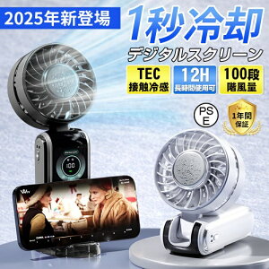 nfBt@ @ É ^ 2025 啗 100iK ^@ ˊO gѐ@ ߓd y Type-c[d pv[g GAR LEDfW^ ΍