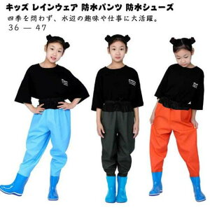 tC CV[Y q PVC C EF[_[ EGXgnC qp vCEFA Cpc ̎q LbY ȈՃEF[_[ J CEFA ꒅ Vђ h j̎q q 