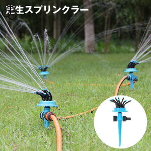 ŐXvN[ EH[^[XvN[  U@  T L͈ 360x px߉\ K[fjO  |  A c 