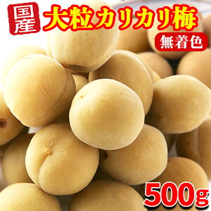 yyz JJ~ ~  ʉَq MǑ΍ Y F ܂ p 嗱  َq 500gkttBoׁl