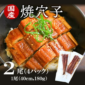 【送料無料】国産 焼穴子 蒲焼大穴子　2尾