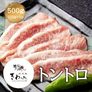 Ŏg聝 ؃g 500g 100g×5p XCX ؓ  |[N gg s[g Pg ē Ă u ؃g  ܂ o[xL[ BBQ   O ⓀɃXgb