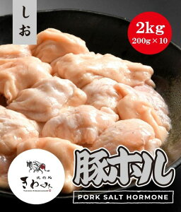  ؃z  2kgi200g×10j zĂ 񂹃O z  ē BBQ Ă  ̓ ̓ v[g Mtg Hה p  Ε