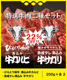 ＼訳アリ22％OFF！／特選牛肉二種セット(200g×4) 送料無料 焼肉 お取り寄せ 美味しい 自宅用 家庭用 おつまみ BBQ 国産 お祝い 誕生日 高級 鮮度保証 北海道三大和牛 ハラミ サガリ 和牛 味付 時短 高級 新鮮