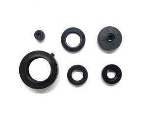 KIWAMI ICV[Lbg (6/1Lbg) FOR z_ H-CB250G5/CB360