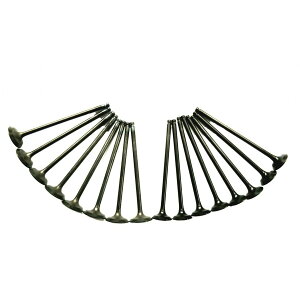 KIWAMI GWouZbg(16{) FOR }n Y-FZR250R (3LN6,7)