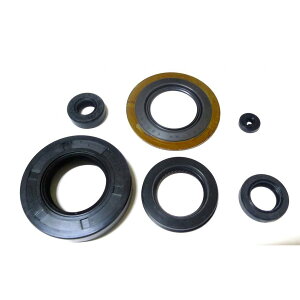 KIWAMI ICV[Lbg (6/1Lbg) FOR z_ H-CB250T/CB250N, CB400T/CB400N z[Np