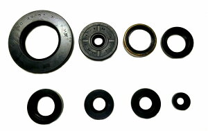 KIWAMI ICV[Lbg (8/1Lbg) FOR z_ H-CB450K, CB500T