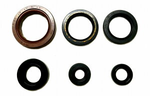 KIWAMI ICV[Lbg (6/1Lbg) FOR z_ H-NSR250Rp