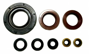 KIWAMI ICV[Lbg (8/1Lbg) FOR XYL S-RGV250 K}, RS250