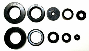 KIWAMI ICV[Lbg (10/1Lbg) FOR z_ H-CB500K/Fp