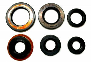 KIWAMI {ICV[Lbg (6/1Lbg) FOR }n Y-XT225 Z[p