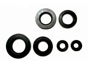 KIWAMI ICV[Lbg (6/1Lbg) FOR }n Y-FZR250 (2KR/2RF)