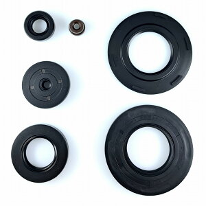 KIWAMI ICV[Lbg (6/Lbg) FOR XYL S-GSX400E/E-2