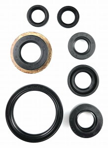 KIWAMI ICV[Lbg (7/Lbg) FOR }n Y-SRV250/S/lbT