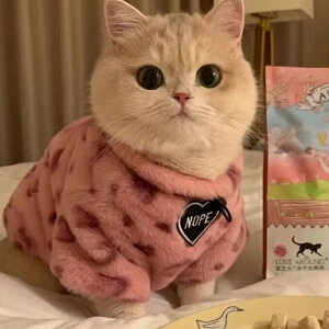 hbOEFA jbg   gbvX ̕  H ~ ^ ^ ^ L ybg p m U