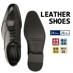 rWlXV[Y Y {v vC Y h  H OH amC Xg[g`bv 킭 Ȃ tH[} hXV[Y Lb ~ 3E EEE ʋ ؐ C  