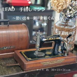 Ae[NG aAe[N { LEAD UȎ񂵃~V