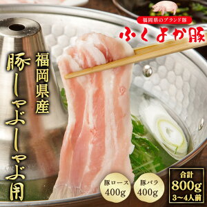 Hה ؓ Ԃ Y ӂ悩  v800g (؃[XA؃o e400g) 3-4lO ؃[X ؃o Ԃԗp o o [X ؂ ₵ XCX Ⓚ M