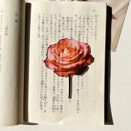 【2点以上送料無料】美しい バラしおり 薔薇 しおり ブックマーク 綺麗 お花 ばら つぼみ 蕾 リアル 栞 …