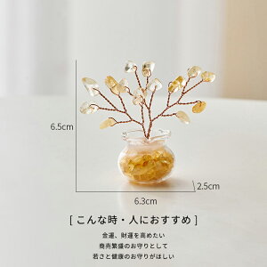 VR p[Xg[ 킢 ،`̒u Y fB[X  NH[c u    ^CUP  K^ J^ ^  Mtg a a  rO  ItF