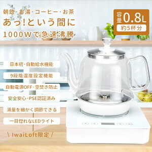 IwaiLoft 急速沸騰 電気ケトル 耐熱ガラス ガラスケトル 1000W 800mL 電気ポット 温度調節 保温機能 静音 自動給水 コーヒーケトル ゆわかしケトル 小型 ガラスティーポット ティーケトル 電気 湯