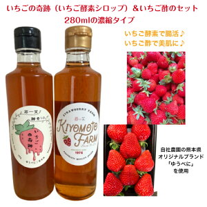 uLgt@[vyfVbv|̃Zbg 䂤ׂ100 yfhN |   r^~C ̊ 䕈 F{Y   yf ~N y 