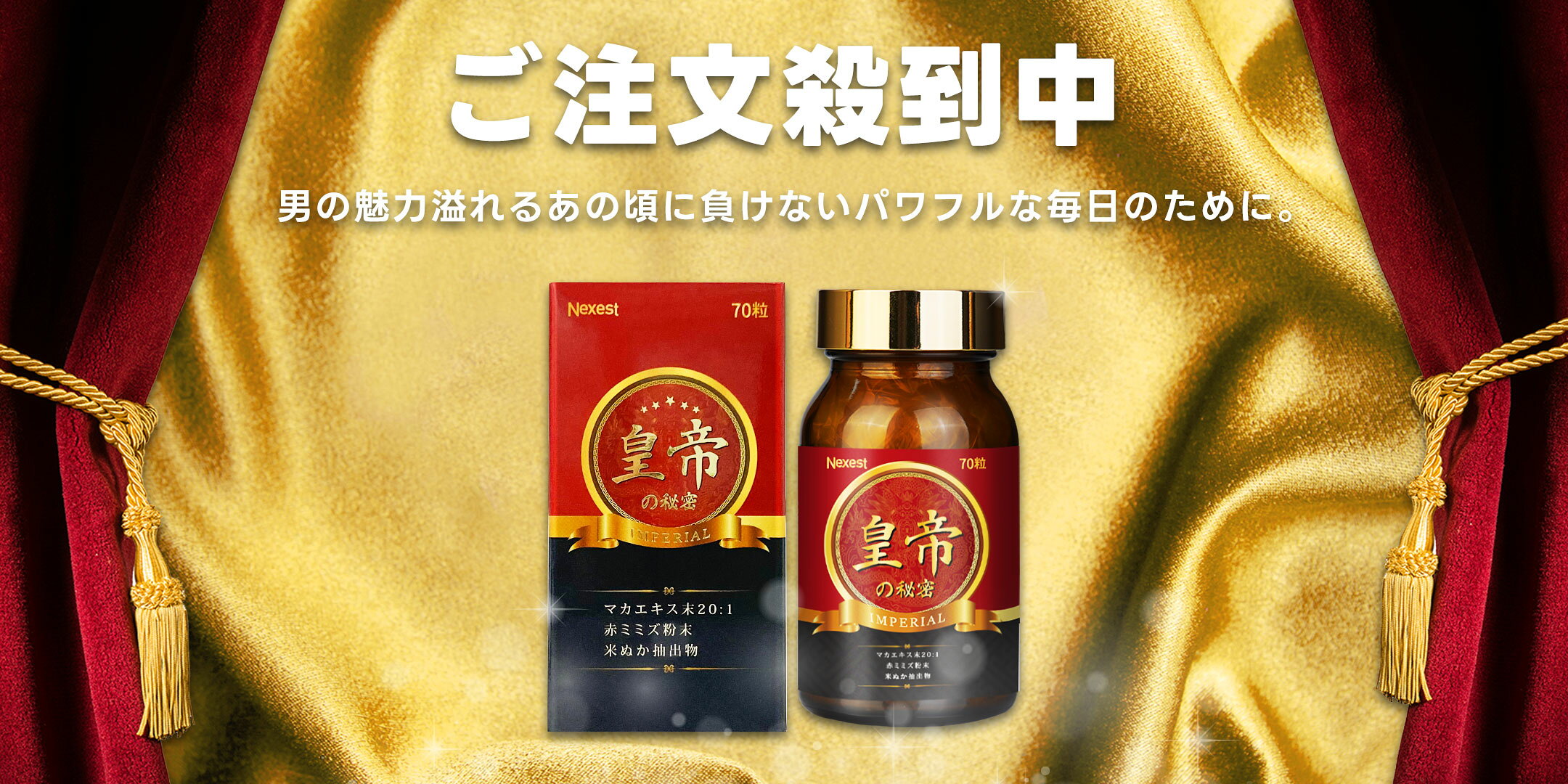 男性 サプリ 活力 精力 サポート