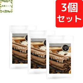 シナモンの粒 120粒×3個セット シナモンのサプリメント シナモン粉末 シナモン サプリ (旧販売名：シナモンの錠剤) 【送料無料】【追跡可能メール便】