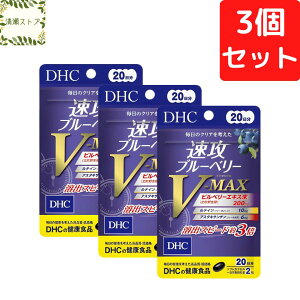 DHC 速攻ブルーベリーV-MAX ブイマックス 20日分×3個セット 120粒 サプリメント【送料無料】【追跡可能メール便】
