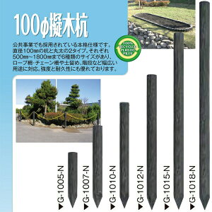 ([J[) [؍Y 100×750mm 5{(1{3530~) ؔY Y G-1007